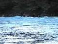 Beto Cuevas Helps Protect Patagonia
