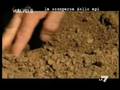 videos de MALPELO - LA MORIA DELLE API