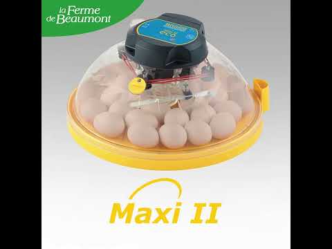 Couveuse Brinsea Maxi 24 EX