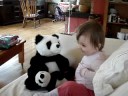 panda & papa & bam