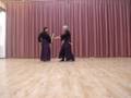 Niten Shoto Seiho