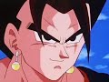 Vegito, Vegeta & Goku - In the end