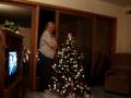 Tree lighting