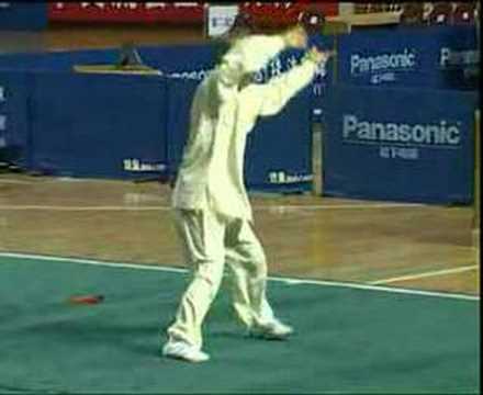 Ma Hong Chen Style Taijiquan (Xin Jia Yi Lu)