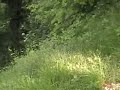 rally  MARCA TREVIGIANA 2006