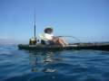 jack crevalle caught off a Kayak