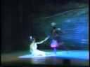 TFA Swan Lake 1987: 4 The Prince and The Swan