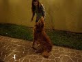 Scoty y lu