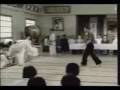 videos de Kyokushin