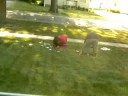 Our Neighborhood