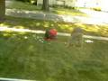 Our Neighborhood