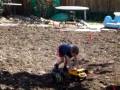 Tommyinthebackyard Tommyinthebackyard