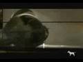 The Red Jumpsuit Apparatus- Face Down