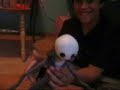 Cute Mario Bros - Meet Jack Skellington (Part 1/2) Cute Mario Bros - Meet Jack Skellington (Part 1/2)