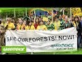 GREENPEACE Kids for Earth CBD URWALDSCHUTZ