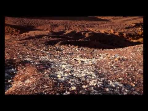 Youtube Video RzPiGX6LfhQ