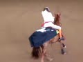 Freestyle Reining Emelie Lundström Freestyle Reining Emelie Lundström