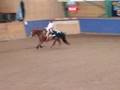 Freestyle Reining Emelie Lundström