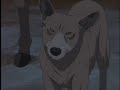 wolf\ wolf\