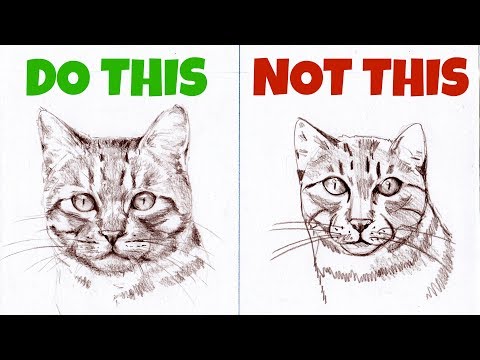 video-linktoworks-Sketching Animals: How to Draw a Realistic Cat
