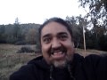 Yosemitebear Mountain Wildlife Fall 09
