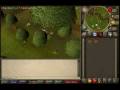 videos de Runescape The Big Tree