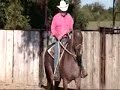 Docs Glo N Oak under saddle