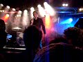 whyte seeds live peace&love 2006 borl�nge bold as love
