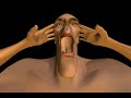 bobo.html