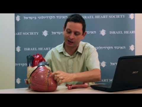 סדרת הרצאות לילדים והורים - שמירה על בריאות הלב