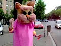 Siguranta rutiera / Road Safety Campaign
