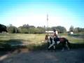 videos de Spotted Champion and Alyssa