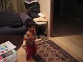 Yusuf and Zarrar Getting Jiggy With it - Part 2
