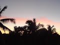 quinto criollo: ¿el origen de la gaita zuliana?