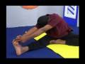 videos de Yoga for Diabetes