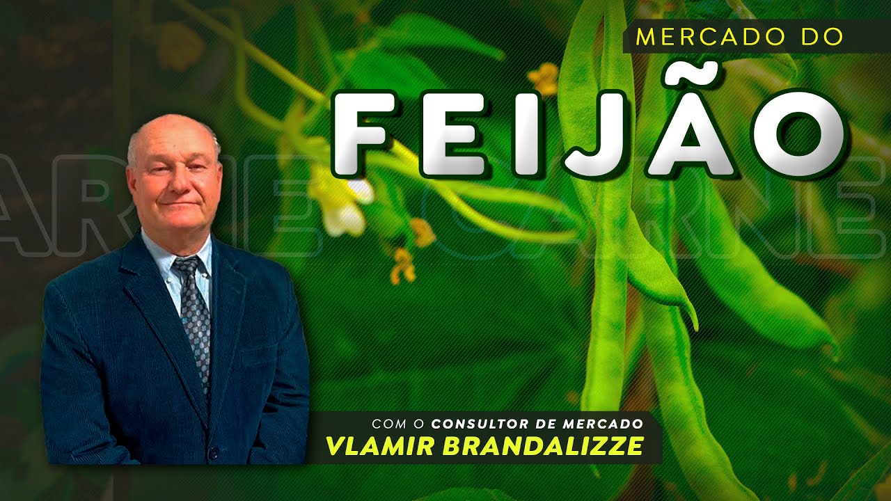 Feijão brasileiro sinaliza preços mais firmes para o decorrer de 2026.