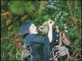 The True Netherworld Story of The Harvestman Part 2