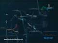 videos de PXNDX
