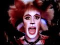 The Time Warp Cats Style! The Time Warp Cats Style!