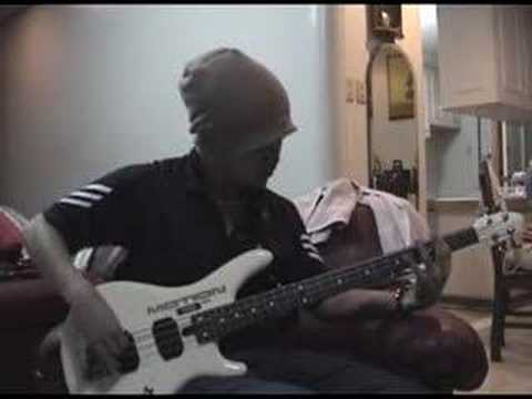 timallillin - misterbassist