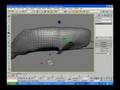 Reel 2007