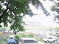Kyoto Rain