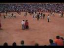 Bull Running - Fuengirola 06