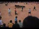 Bull Running - Fuengirola 06