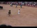 Bull Running - Fuengirola 06