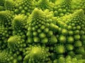 Secuencia_Fibonacci.avi