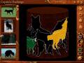 videos de Pandora's Box - Coyote