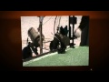 Click to View : Nike Sports Complex Part 1 - Rolling Out The Carpet