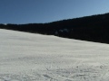 Thumbnail #1