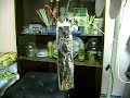 electrogravity 334 electrogravity 334